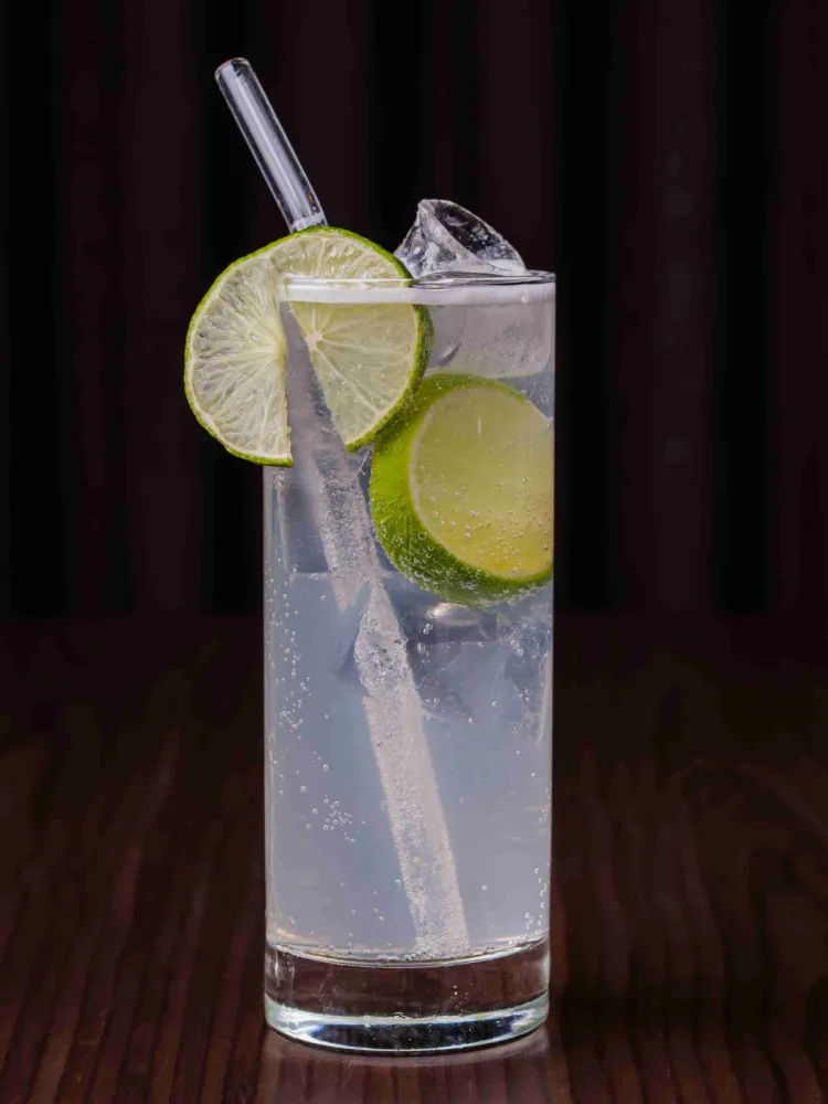 GIN FIZZ