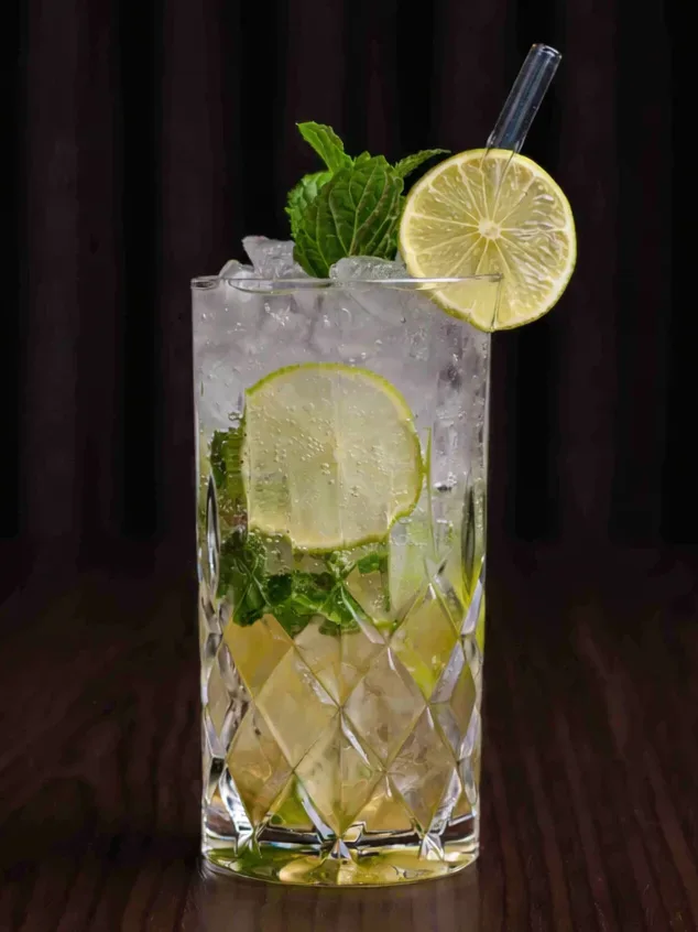 VIRGIN MOJITO
