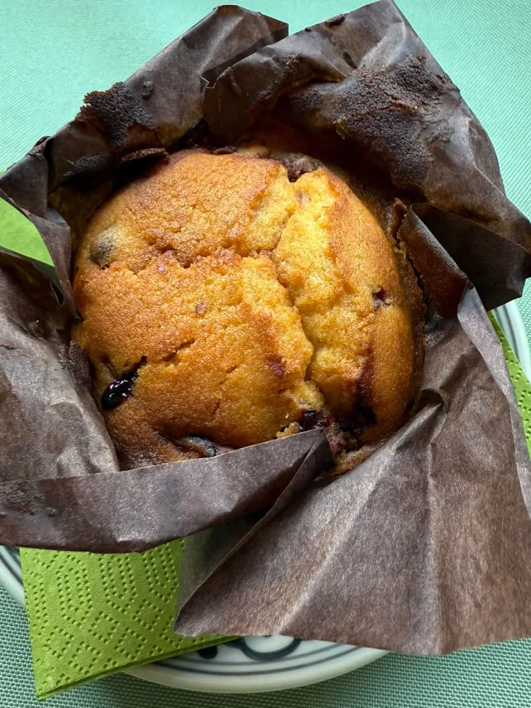 Blueberry Muffin