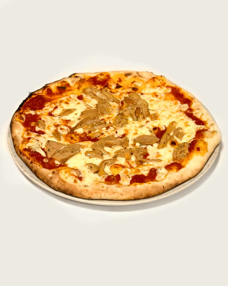 PORCINI
