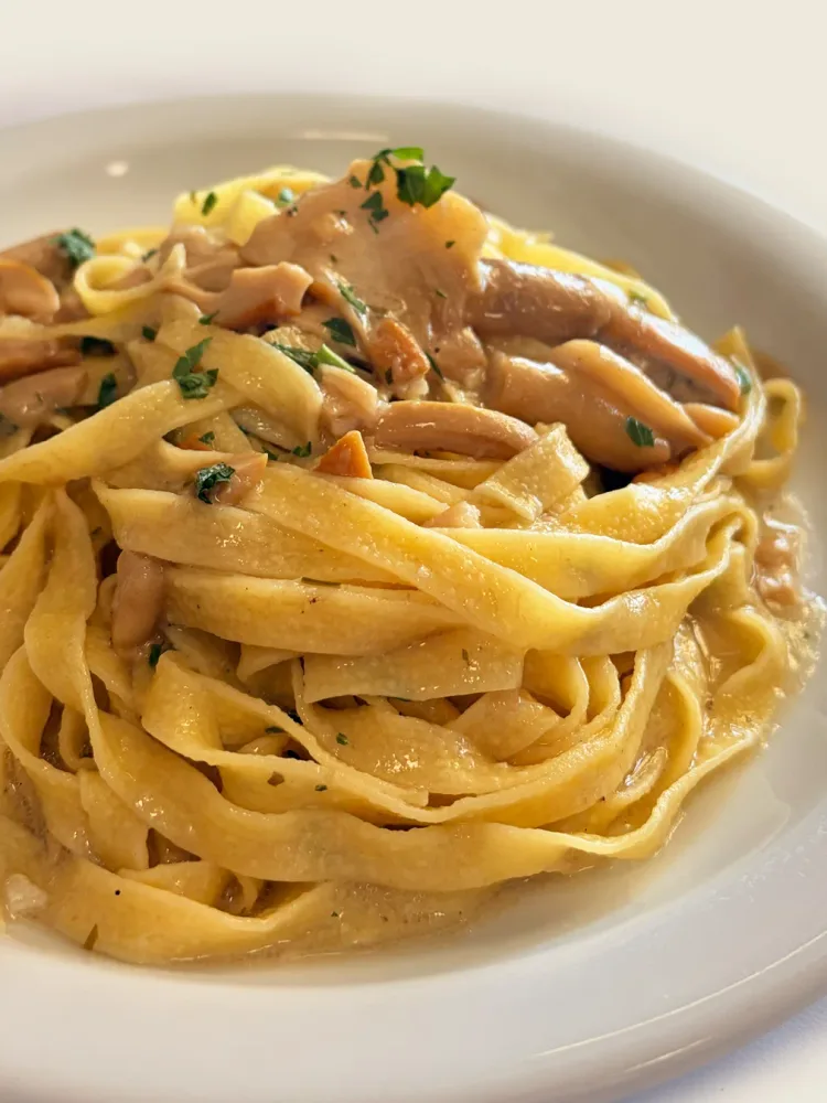TAGLIATELLE AI PORCINI