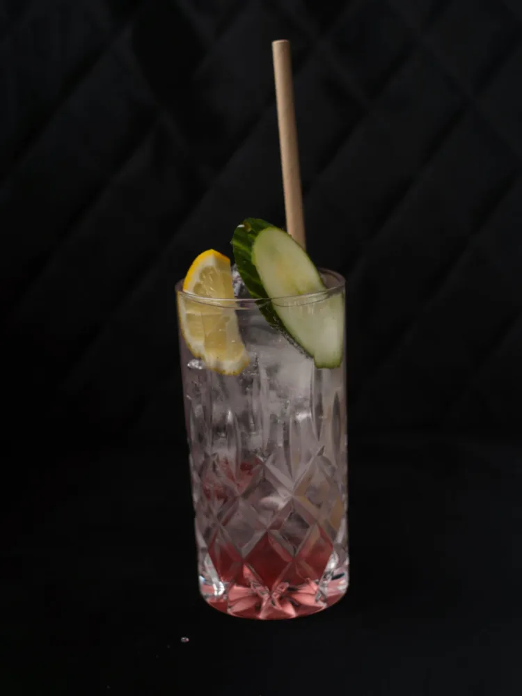 Wassermelone & Gin