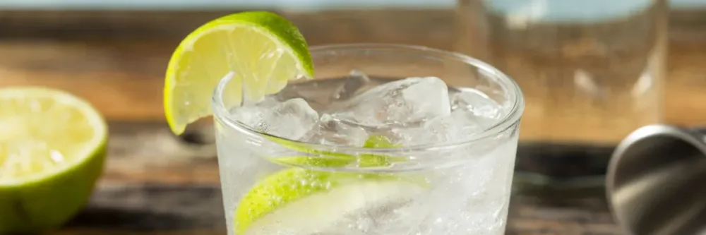 Gin & Tonic 🧊