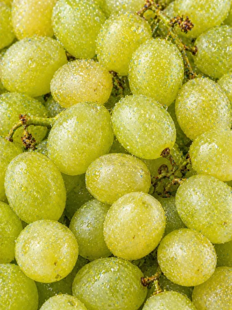 Grape