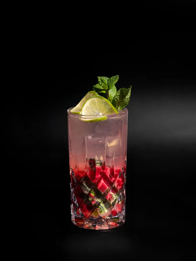Raspberry Mojito