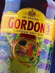 Gin Gordon