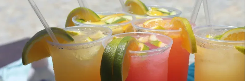 MISSISSIPPI SPECIALS