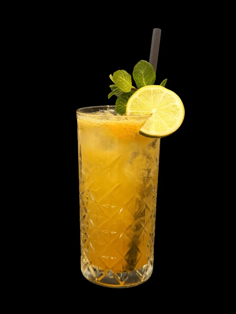 SCS-Lounge: Mango Ingwer Breeze