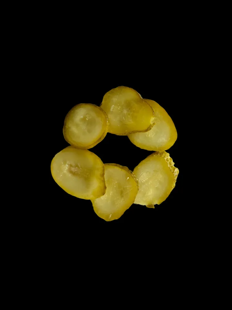 Essiggurke