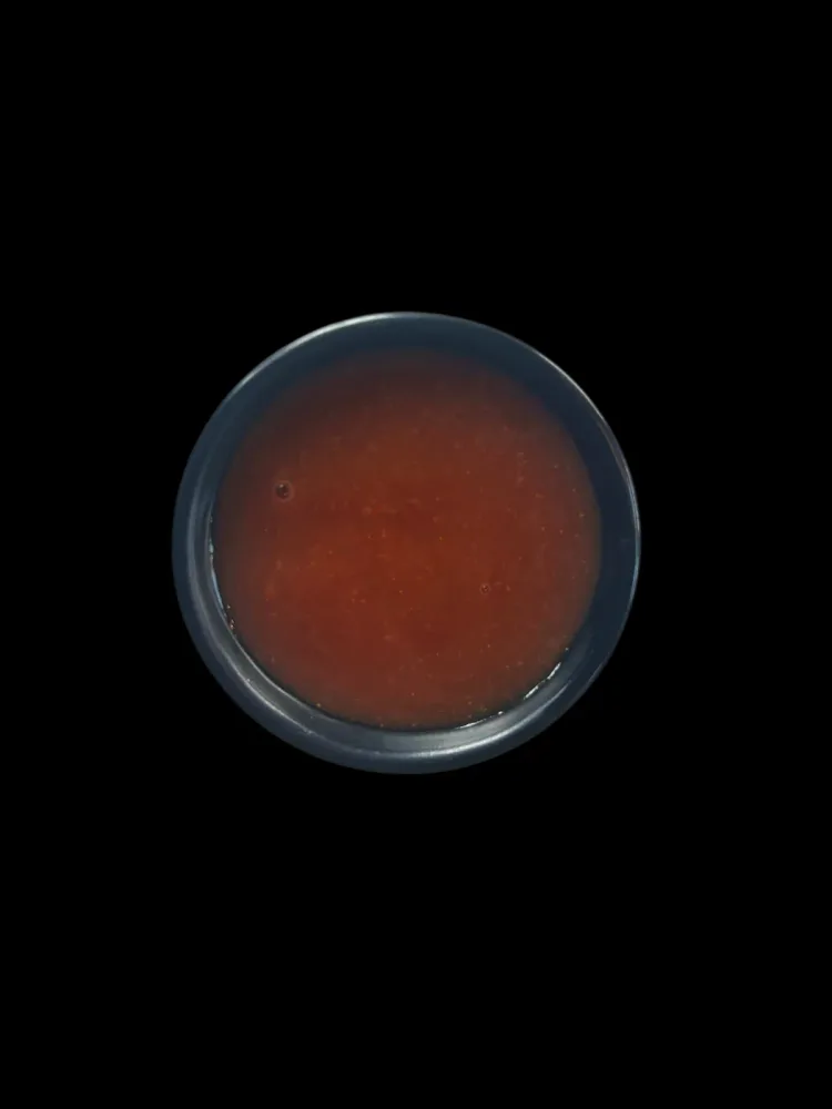 BBQ Sauce